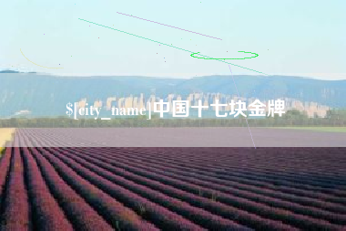 祁阳中国十七块金牌