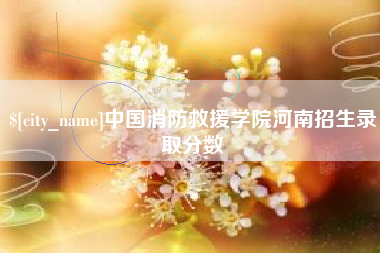 祁阳中国消防救援学院河南招生录取分数