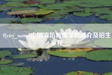 祁阳中国消防救援学院简介及招生章程