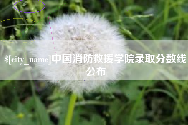 祁阳中国消防救援学院录取分数线公布
