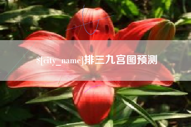 祁阳排三九宫图预测
