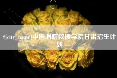 祁阳中国消防救援学院甘肃招生计划