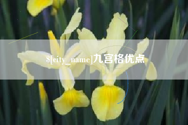 祁阳九宫格优点