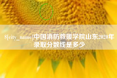 祁阳中国消防救援学院山东2020年录取分数线是多少