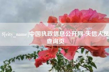 祁阳中国执政信息公开网-失信人员查询页