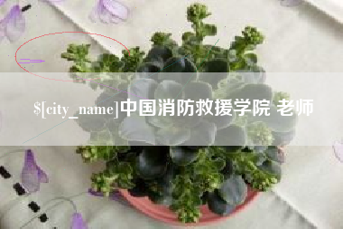 祁阳中国消防救援学院 老师