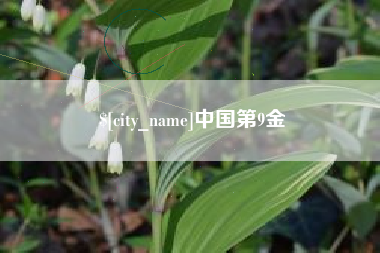 祁阳中国第9金