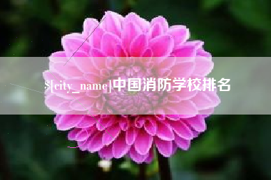 祁阳中国消防学校排名
