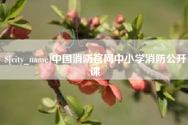 祁阳中国消防官网中小学消防公开课