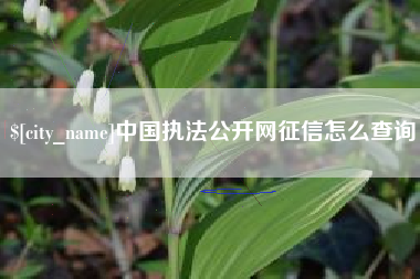 祁阳中国执法公开网征信怎么查询