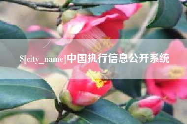祁阳中国执行信息公开系统