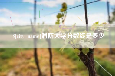 祁阳消防大学分数线是多少