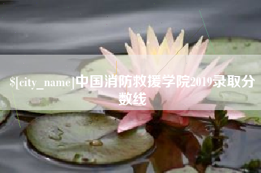 祁阳中国消防救援学院2019录取分数线