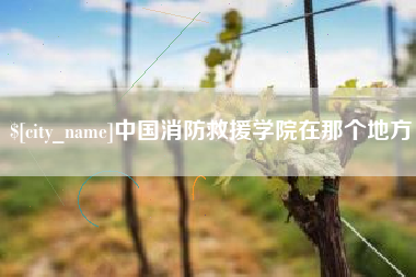 祁阳中国消防救援学院在那个地方