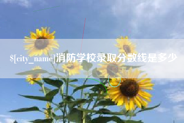 祁阳消防学校录取分数线是多少
