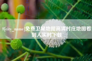 祁阳免费卫星地图高清村庄地图看到人实时下载