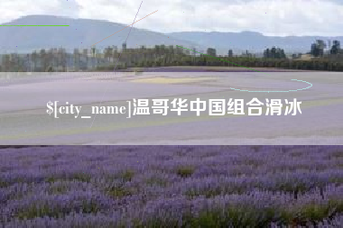 祁阳温哥华中国组合滑冰