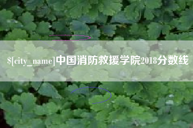 祁阳中国消防救援学院2018分数线