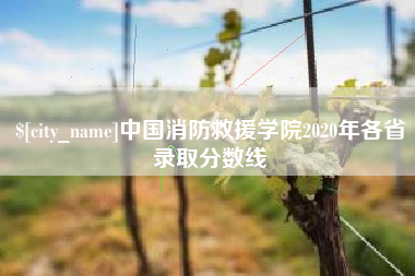 祁阳中国消防救援学院2020年各省录取分数线