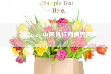 祁阳中国执行网信息官网