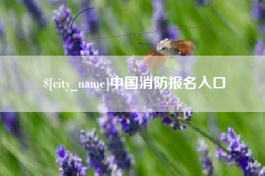 祁阳中国消防报名入口