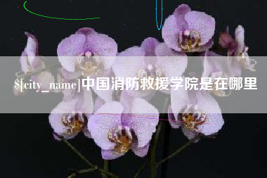 祁阳中国消防救援学院是在哪里