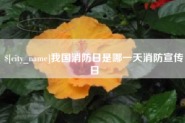 祁阳我国消防日是哪一天消防宣传日