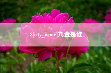 祁阳九金是谁