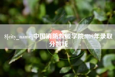 祁阳中国消防救援学院2019年录取分数线