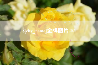 祁阳金牌图片2021