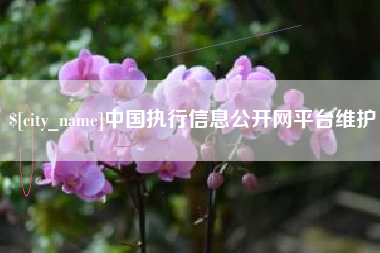 祁阳中国执行信息公开网平台维护