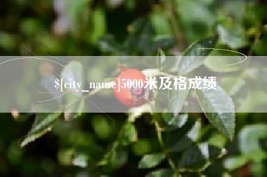 祁阳5000米及格成绩