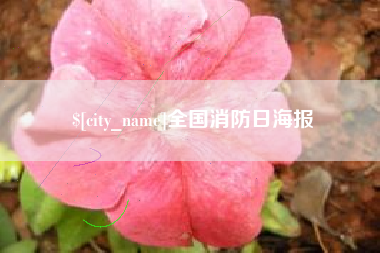 祁阳全国消防日海报