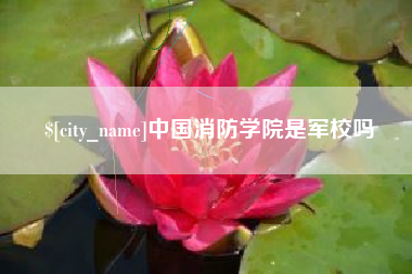 祁阳中国消防学院是军校吗