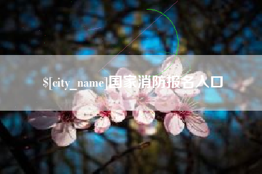 祁阳国家消防报名入口