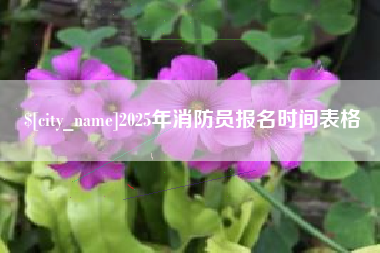 祁阳2025年消防员报名时间表格