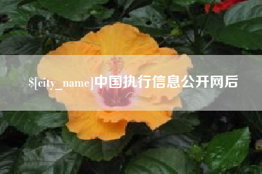 祁阳中国执行信息公开网后