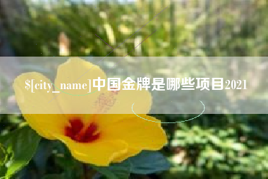祁阳中国金牌是哪些项目2021