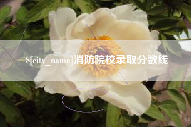 祁阳消防院校录取分数线