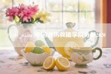 祁阳中国消防救援学院分数2020
