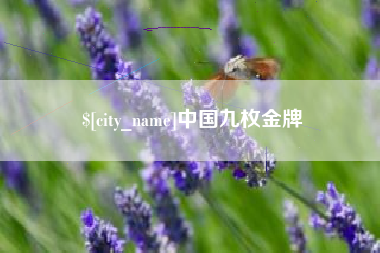 祁阳中国九枚金牌