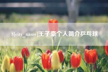 祁阳王子豪个人简介乒乓球