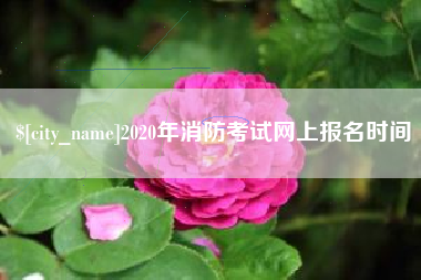 祁阳2020年消防考试网上报名时间