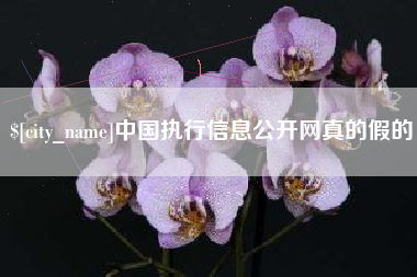 祁阳中国执行信息公开网真的假的