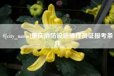 祁阳重庆消防设施操作员证报考条件