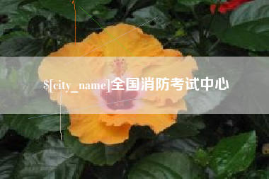 祁阳全国消防考试中心