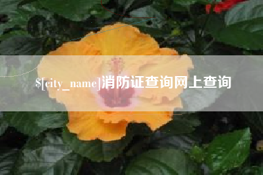 祁阳消防证查询网上查询