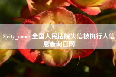 祁阳全国人民法院失信被执行人信息查询官网