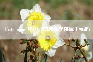 祁阳中国消防救援学院属于985吗