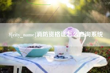 祁阳消防资格证怎么查询系统